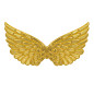 Wings gold, 57x26 cm wings-gold-57x26-cm-widmann-30309