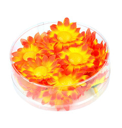Margrietiņas oranži dzeltenas, 20 gab.