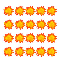 margrietinas-oranzi-dzeltenas-20-gab-widmann-23981-2