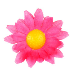 dasies-fuchsia-pink-20-gab-widmann-23983