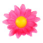 Daisies fuchsia pink, 20 pcs. dasies-fuchsia-pink-20-gab-widmann-23983