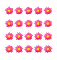 margrietinas-fuksijas-roza-20-gab-widmann-23983-2
