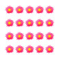 Daisies fuchsia pink, 20 pcs. dasies-fuchsia-pink-20-gab-widmann-23983