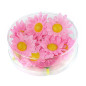 Daisies pink, 20 pcs. dasies-pink-20-gab-widmann-23982