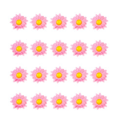 margrietinas-roza-20-gab-widmann-23982-2