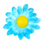 margrietinas-zilas-20-gab-widmann-23984
