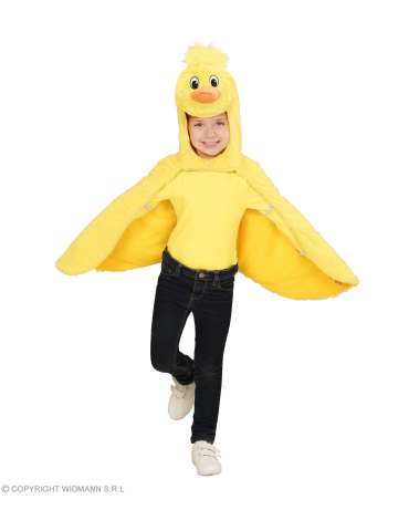 Chicken costume, 2-4 years