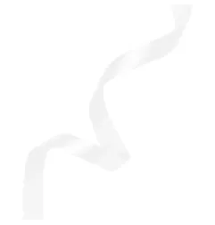 satin-ribbon-white-partypal-145807
