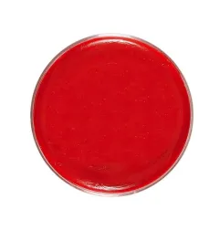 red-makeup-25g-widmann-02389