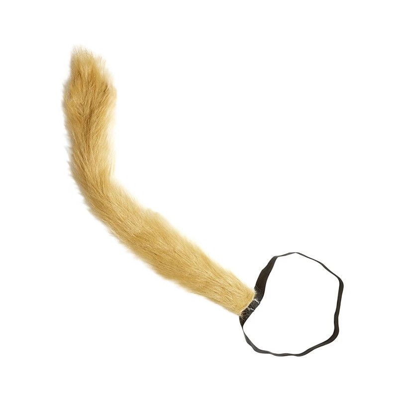 Ruda, spalvaina lauvas aste ruda-spalvaina-lauvas-aste-widmann-8256k