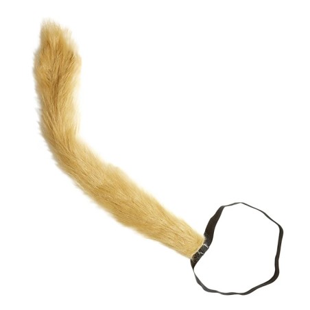 red-feathered-lions-tail-widmann-8256k
