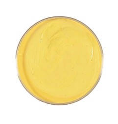 yellow-makeup-widmann-02395