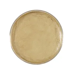 gold-makeup-widmann-02392