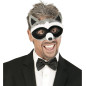Raccoon mask