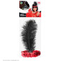 Headband with a red feather