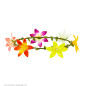 A wreath of hibiscus flowers