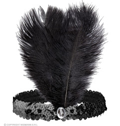 Headband with feathers black