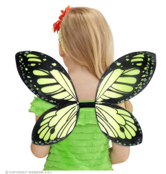 Butterfly wings black-green, 66x38 cm