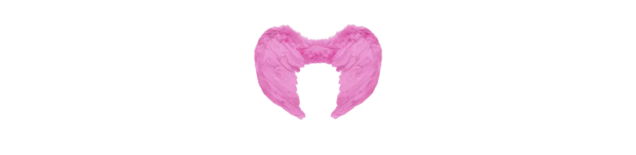 Spārni