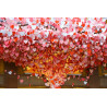 Valentine's Day
